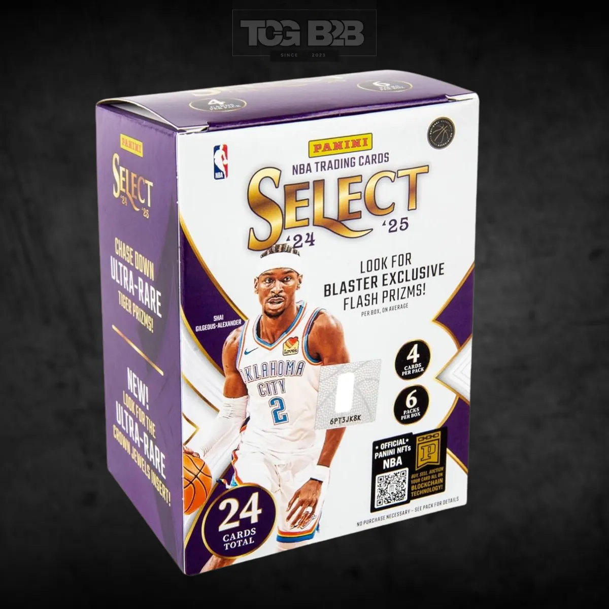 Panini Select Basketball Blaster Box